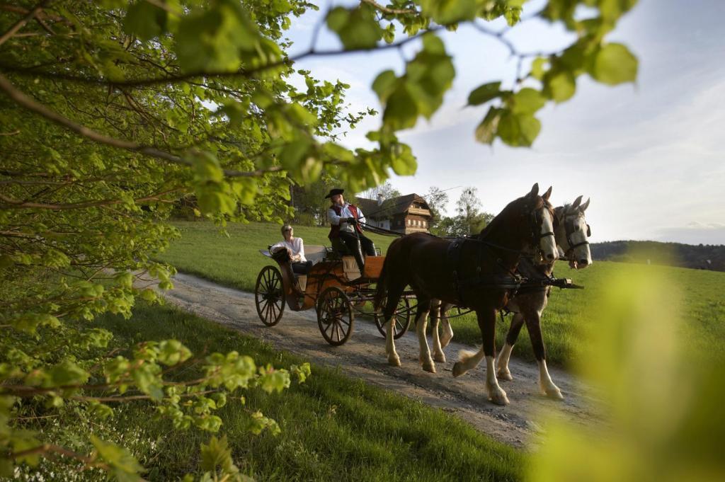 Ferienhaus Troadkasten - Familie Friedrich ハルトベルク エクステリア 写真